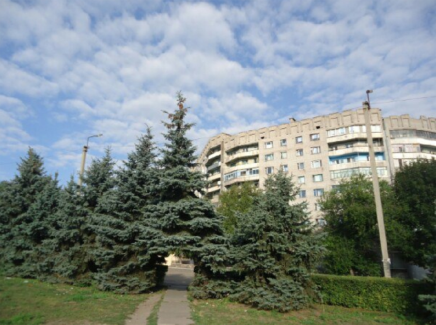 Ель