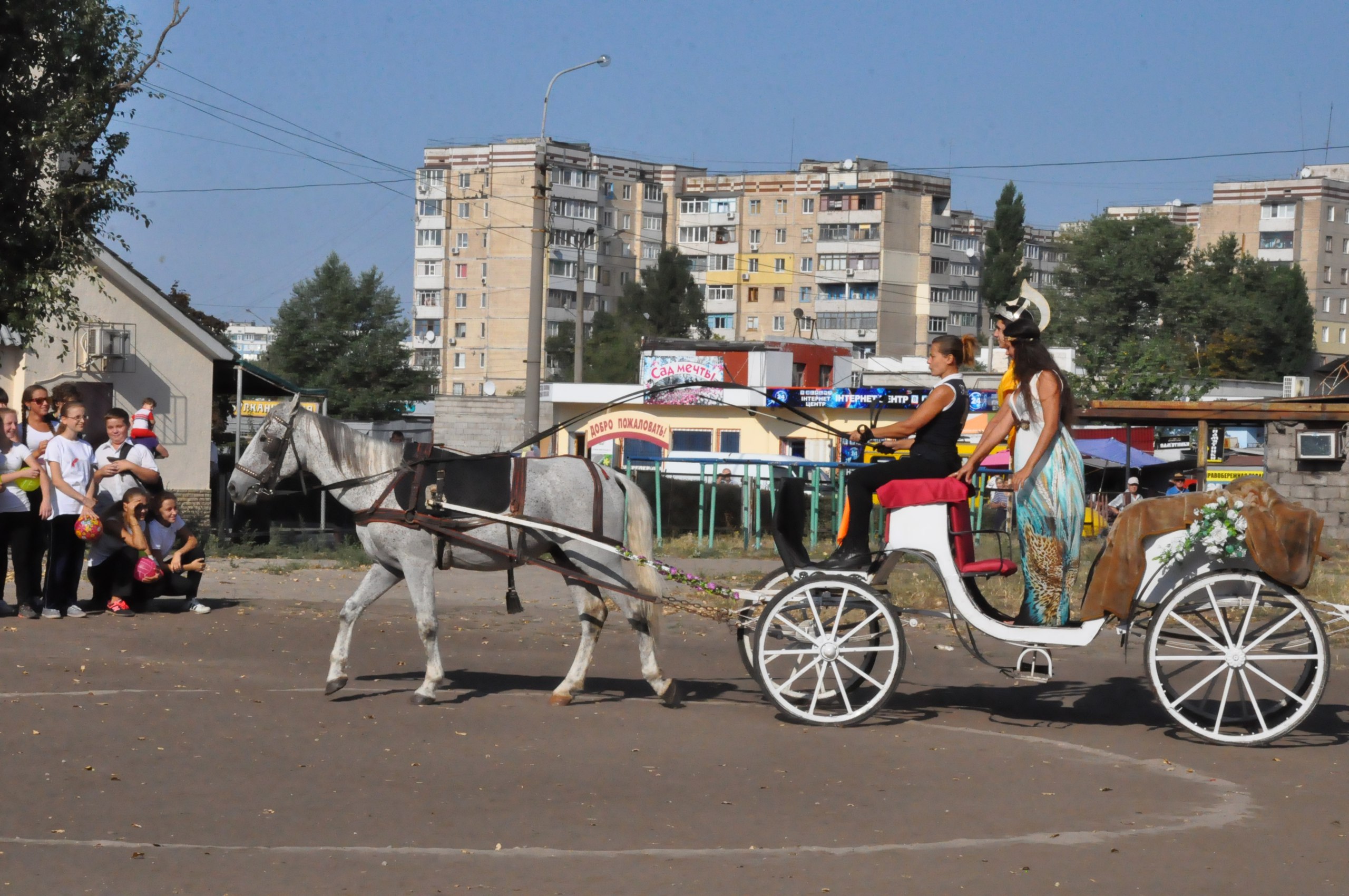 КОЛЕСНИЦА1