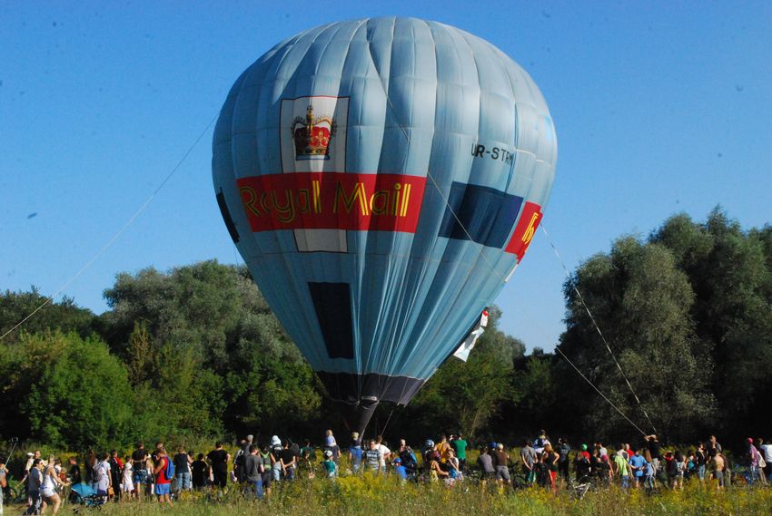 11 fest zdorovogo sposoba zhizni