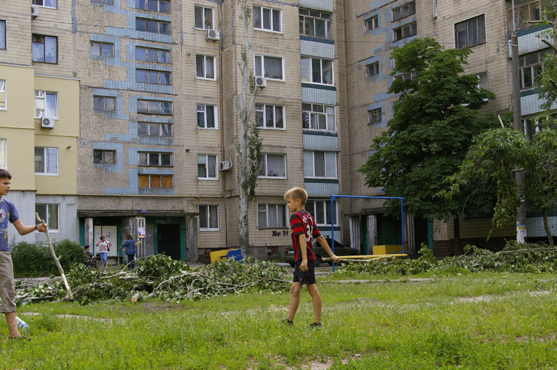ДеревьяIGP8064
