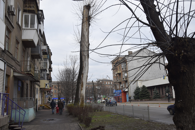Вулиця Галини Романової 26 грудня 2017