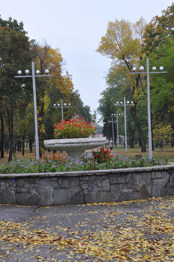 Квітник в сквері по проспекту Свободи