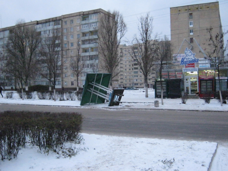 Проспект Перемоги грибок навіс