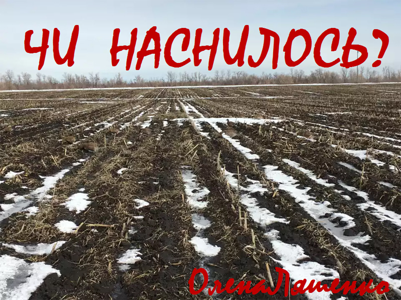 Чи наснилось