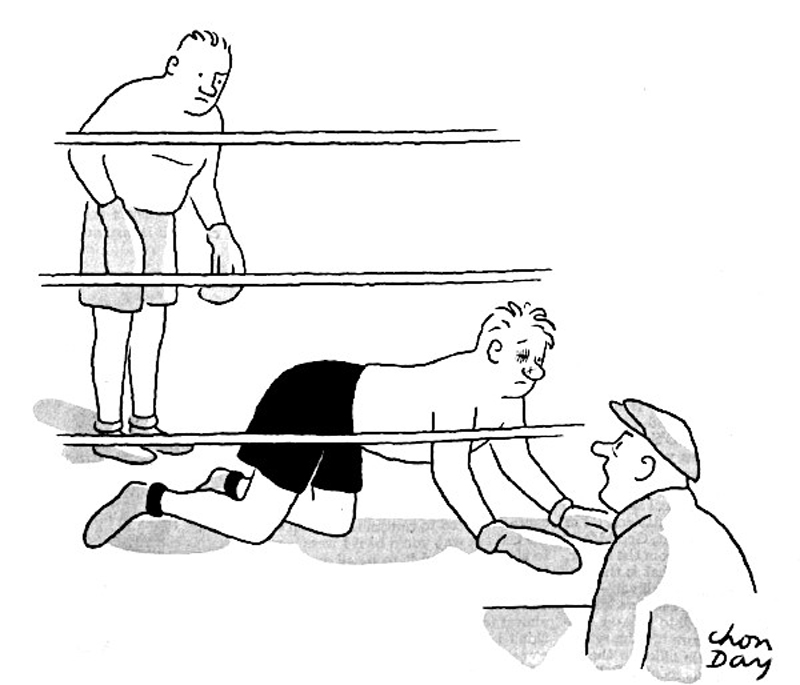 2022 05 16 boxing cartoons