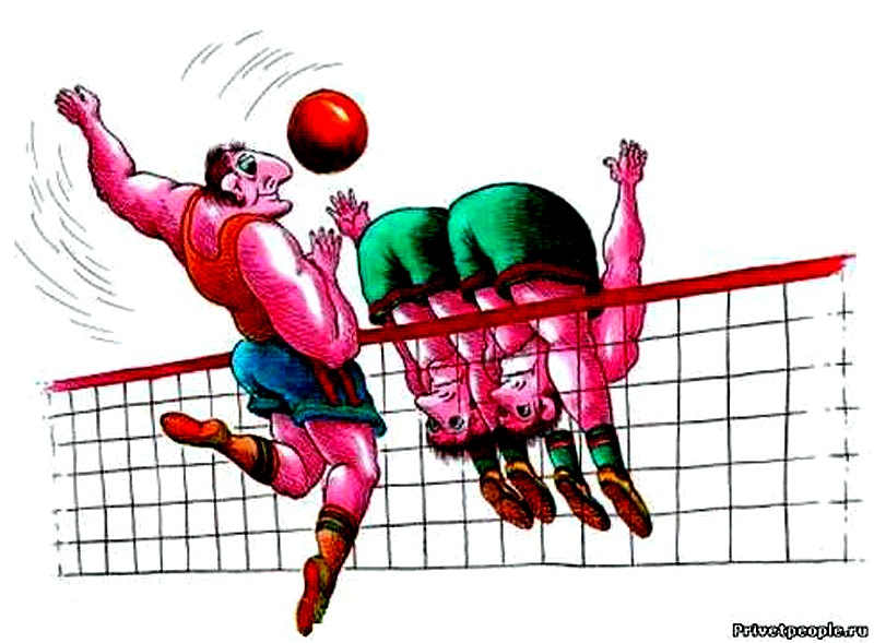 330306423 937803167243487 1287014850261657651 n