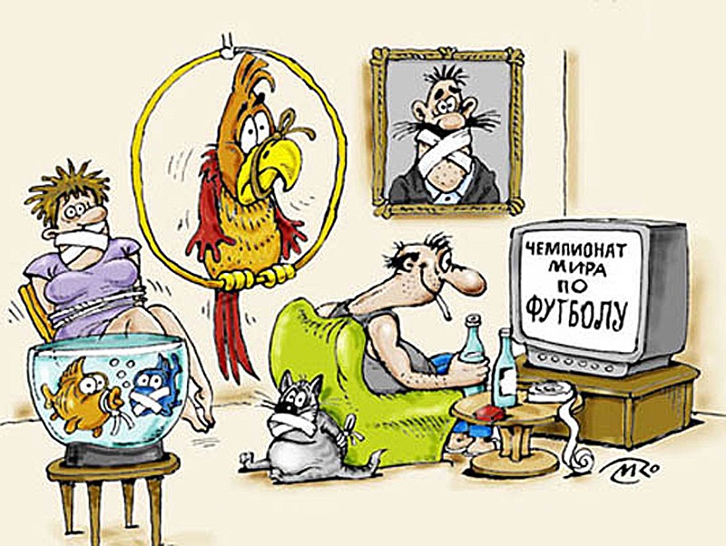Чемпіонат світу по футболу